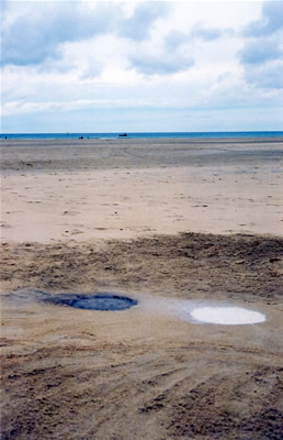 Porth Kidney Sands